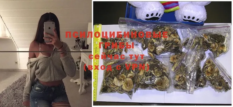 omg сайт  Ужур  Галлюциногенные грибы MAGIC MUSHROOMS 